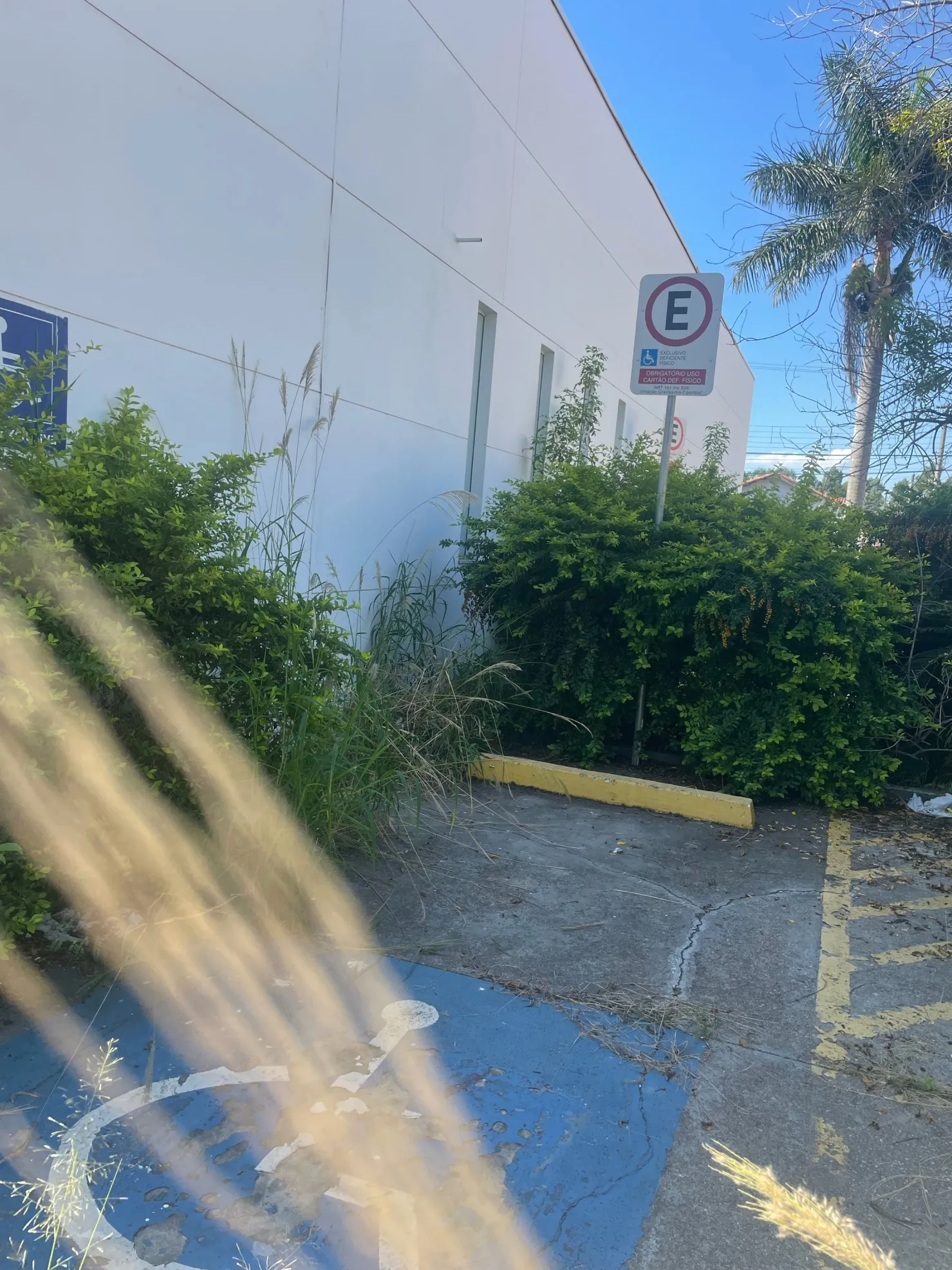 Imagem Comercial para Locação 8 Vagas, 500M², Loteamento João Tamborindeguy Fernandes, Pindamonhangaba - SP