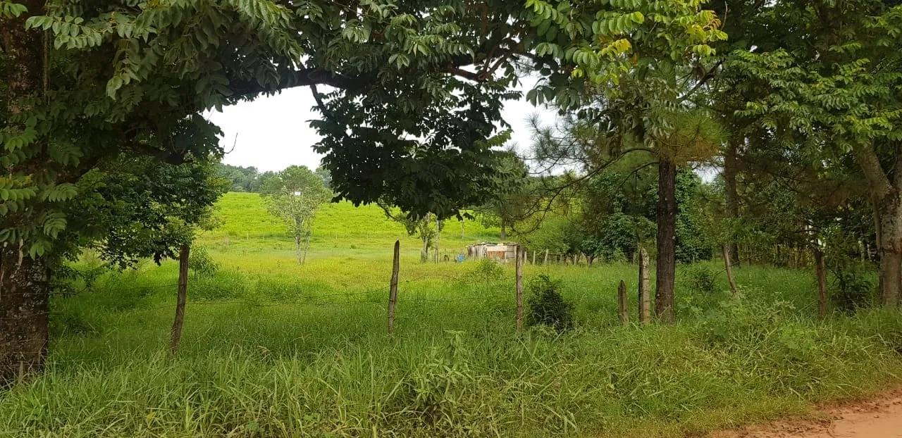 Imagem Chácara à venda 2 Quartos, 6 Vagas, 3300M², Goiabal, Pindamonhangaba - SP