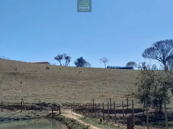 Imagem Terreno incrível para criação de animais e plantio