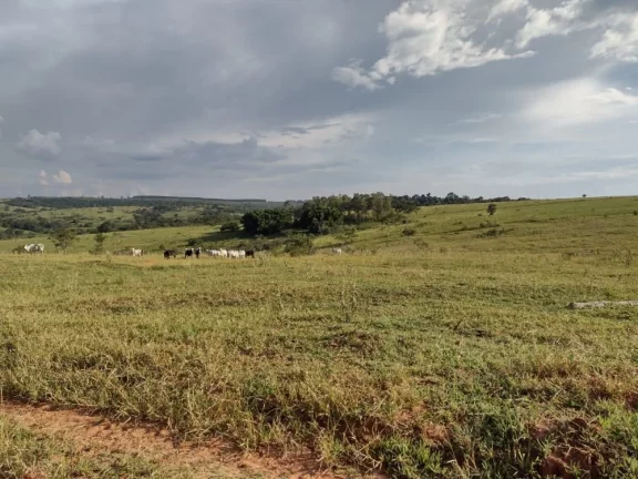Imagem Sítio a VENDA, Avaí/SP, Área Rural, 10 alqueires