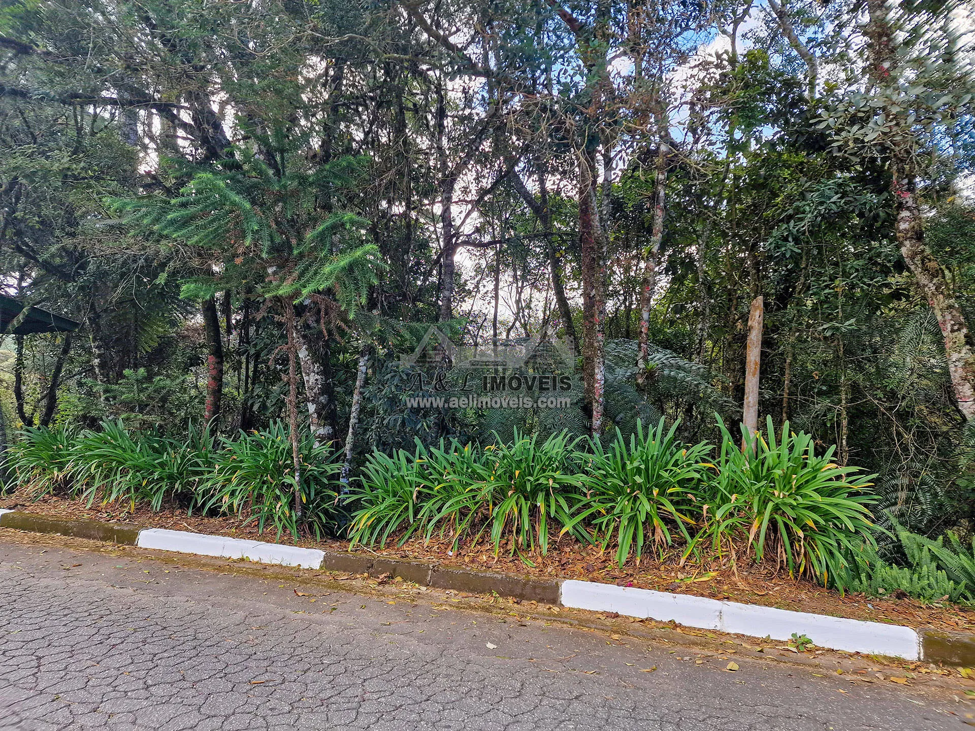 Imagem Terreno à venda em Campos do Jordão - Com vista para linda área verde