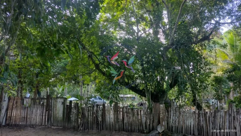 Imagem TERRENO NA CIDADE HISTÓRICA