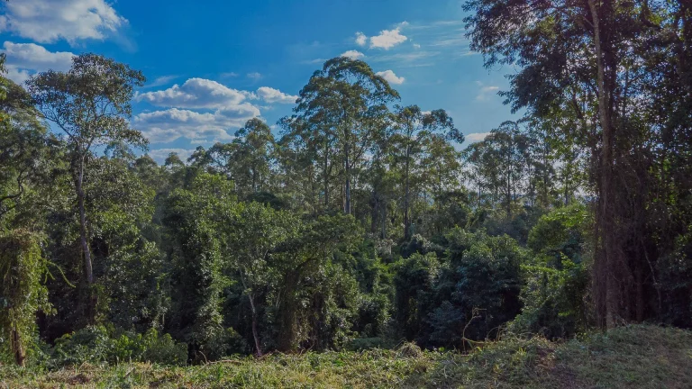 Imagem Terreno à venda - Itapevi/SP