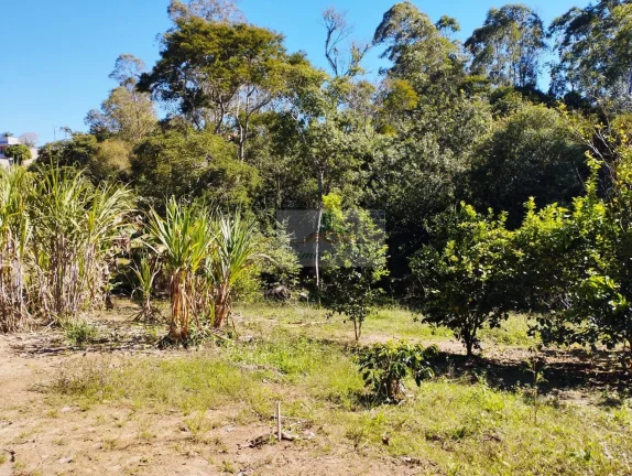 Imagem CHÁCARA JARDIM CANANÉIA