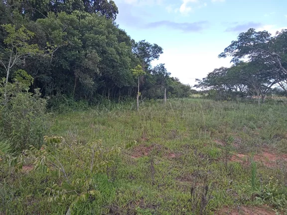 Imagem INVESTIDORES !!! - Excelente área de 2 Hectares, em Águas Claras, Viamão