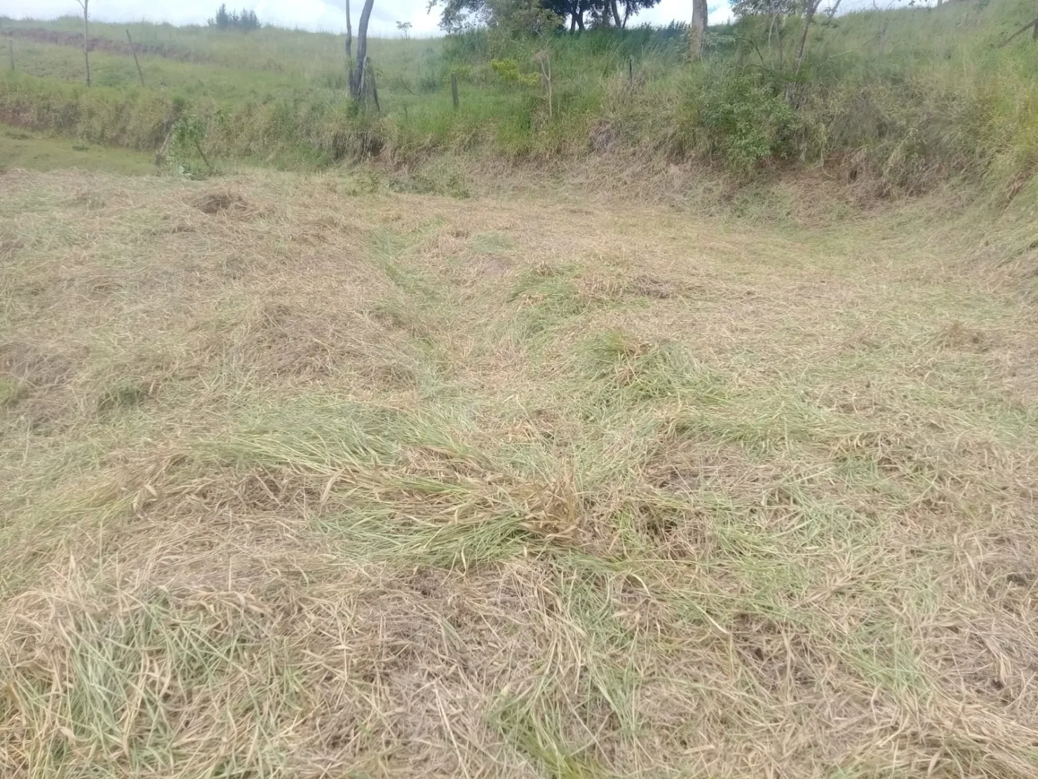 Imagem Terreno à venda 1110M², Piracangaguá, Taubaté - SP