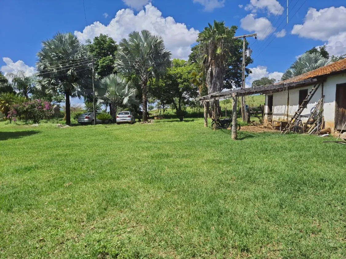 Imagem Oportunidade Imperdível: Fazenda de 1.272 Hectares em Augusto de Lima