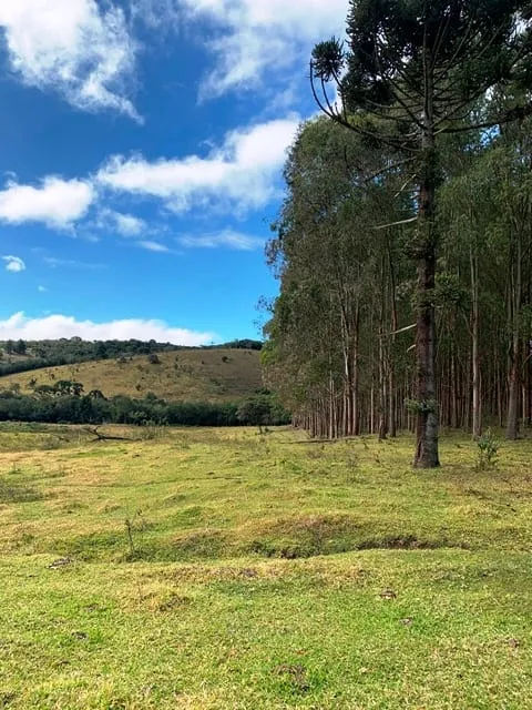 Imagem Chácara à venda 20000M², Aparição, Cunha - SP