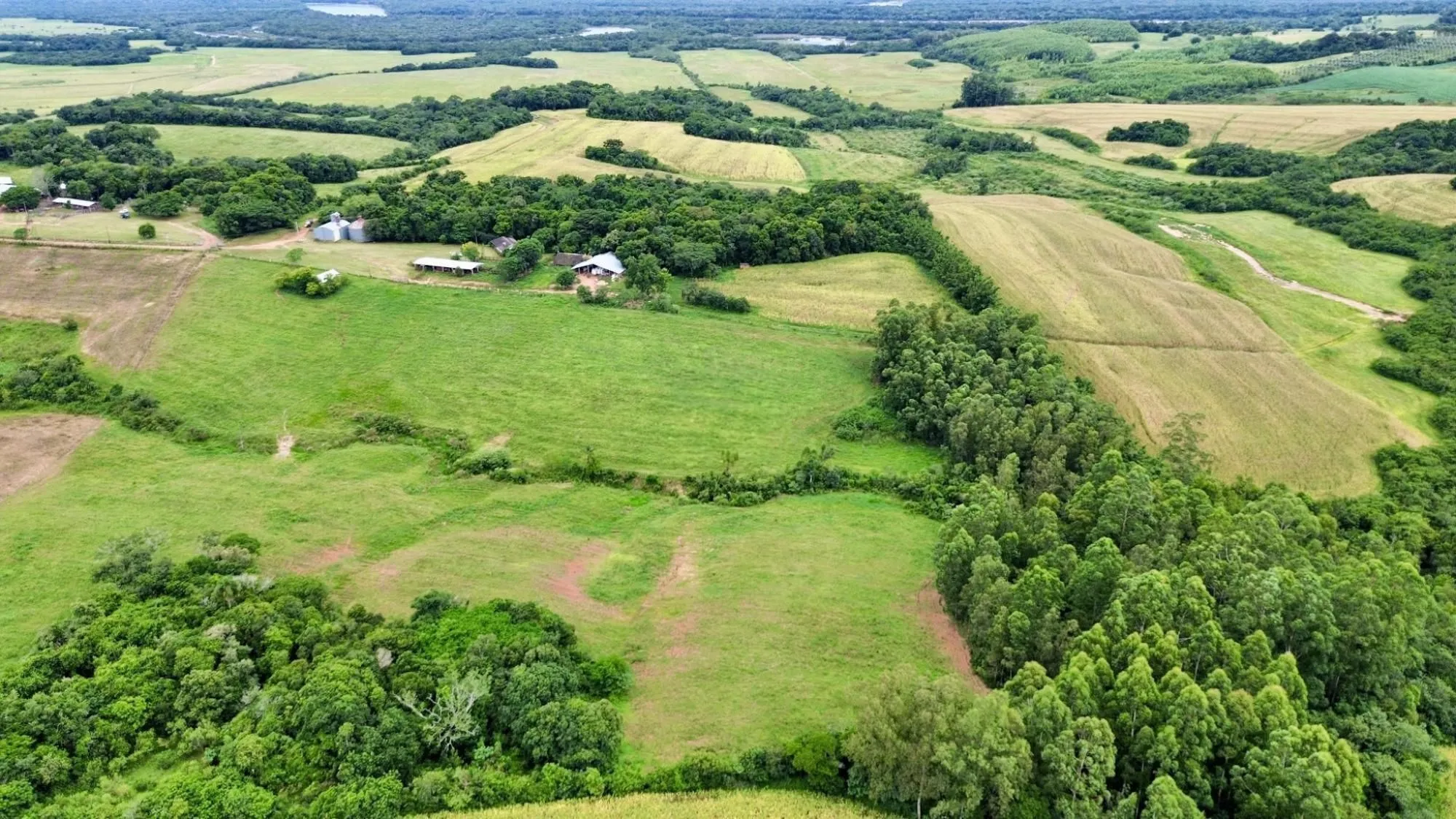 Imagem Fazenda à venda no Vale Verde - RS - 433 hectares. Ideal para Arroz e Soja.