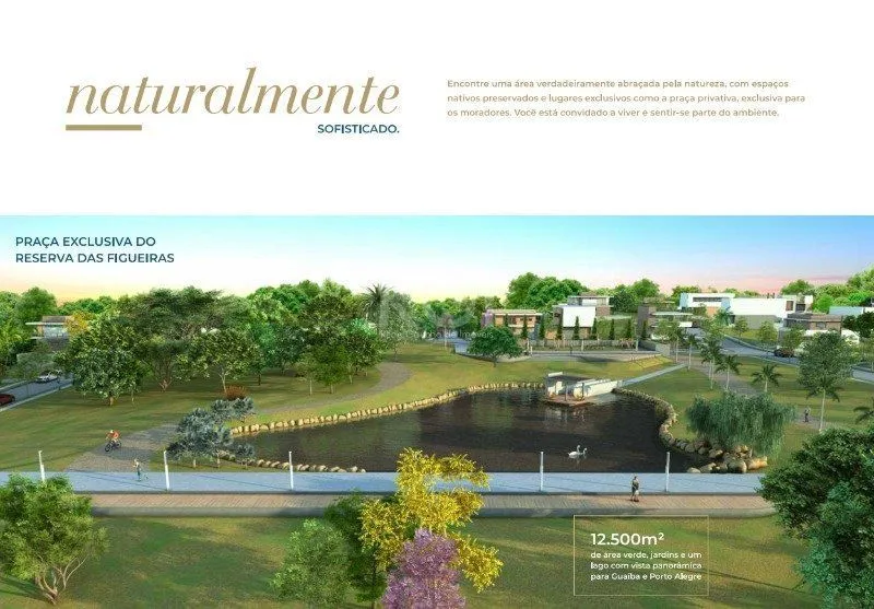 Imagem Terreno em Coronel Nassuca