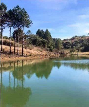 Imagem Terreno à venda, 1000 m² por R$ 90.000,00 - Munhoz - Munhoz/MG