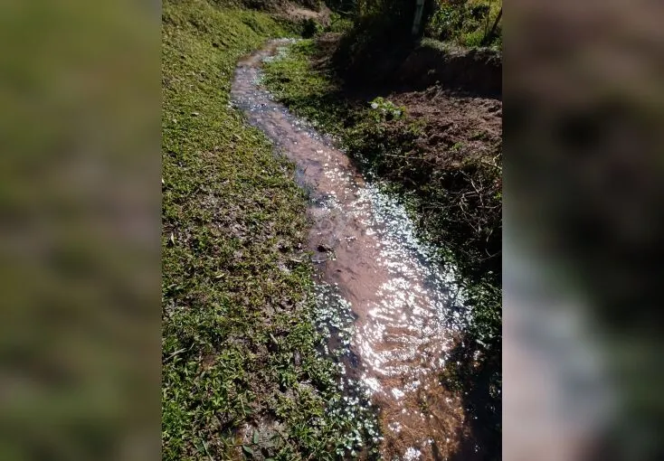 Imagem Paraíso Rural na RMC: Descubra as Maravilhas Deste Imóvel Rural de 5 Alqueires em Cosmópolis!