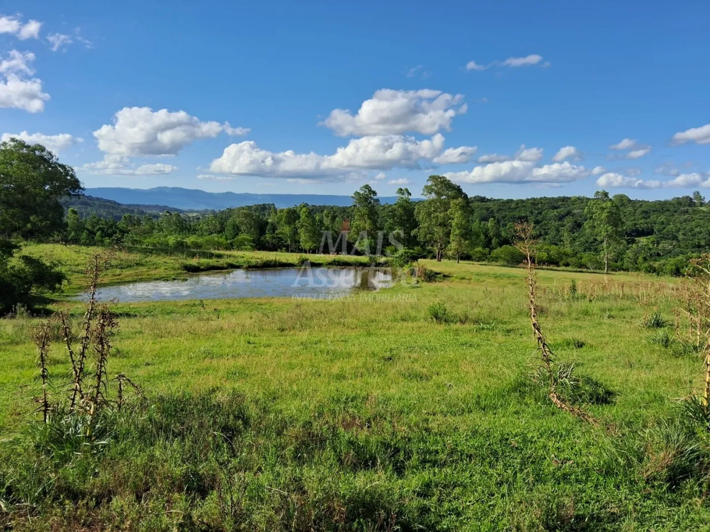 Foto do imóvel Área de Terras à venda, localizada em Taquara, ótima para plantação ou criação