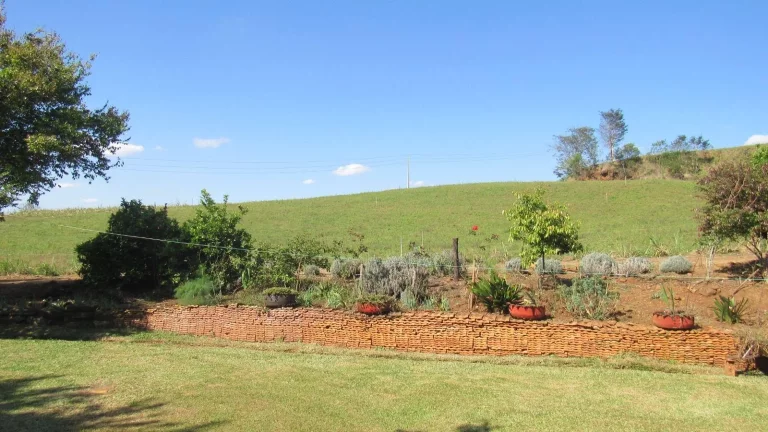 Imagem Área Agrícola para Venda em Concórdia, Rural
