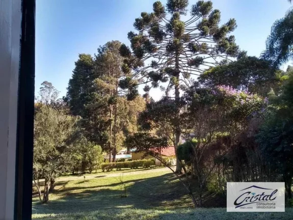 Imagem Chácara Rural à venda - Mairinque