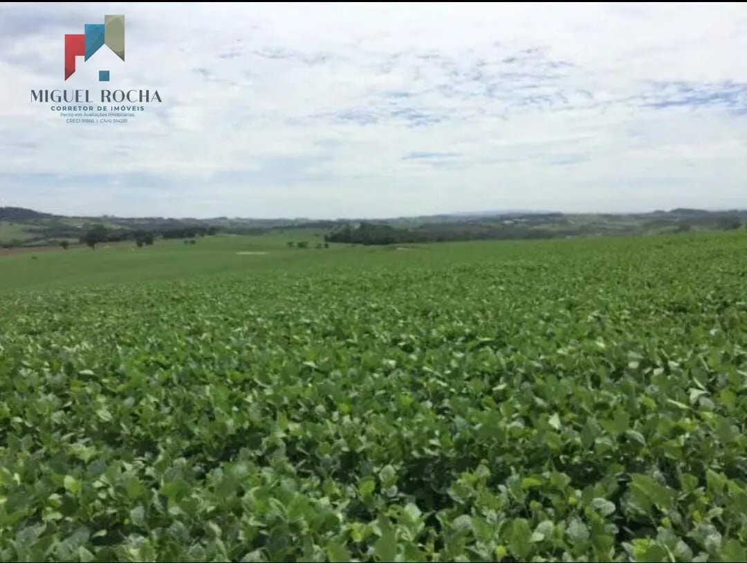 Imagem Fazenda região Itapetininga SP