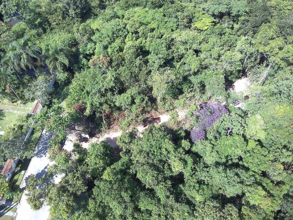 Imagem Excelente Terreno!!! Praia da Tabatinga Caraguatatuba SP