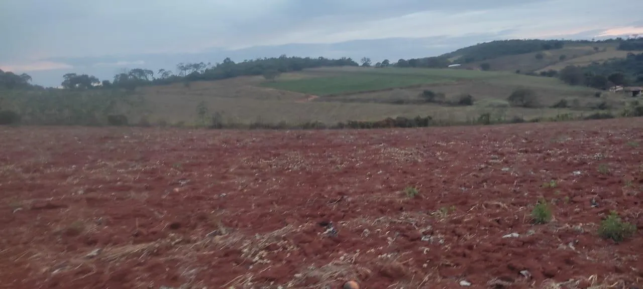 Imagem FAZENDA À VENDA - CRUCILÂNDIA (MG) 120 hectares de área total
