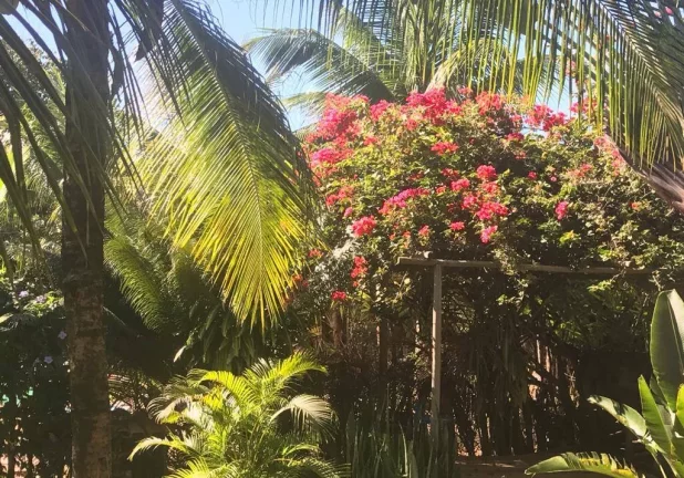 Imagem Casa Bombaça