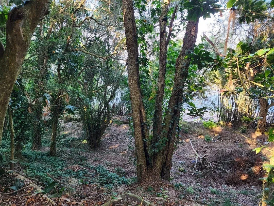 Imagem Terreno em Pedra Redonda