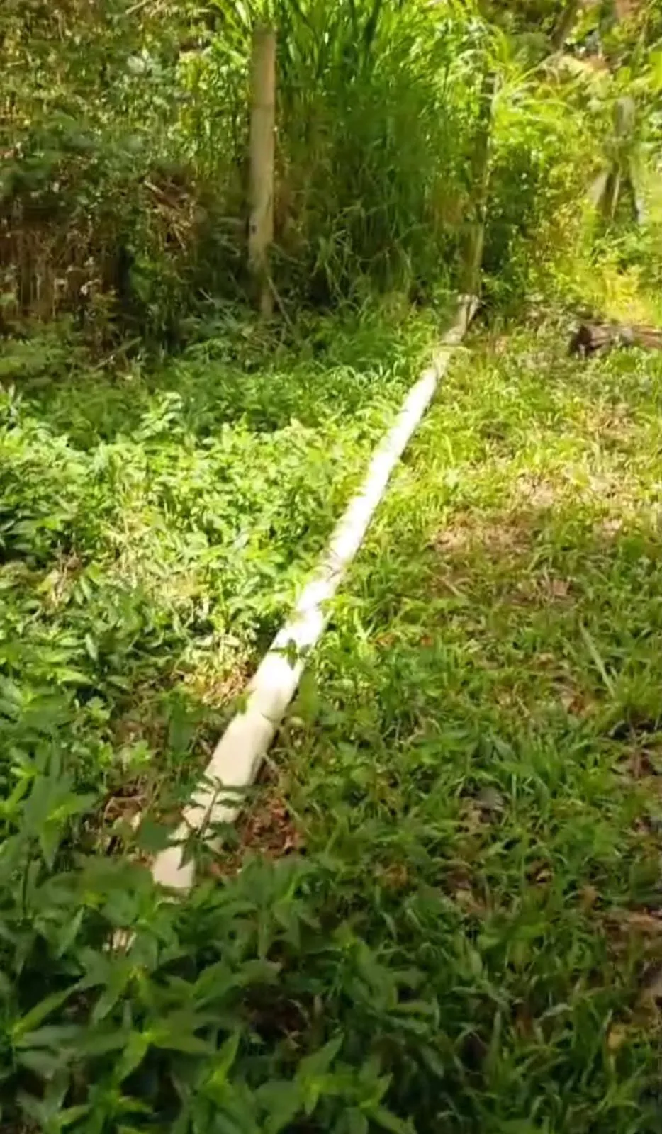 Imagem Terreno à venda em Viamão bairro São Lucas