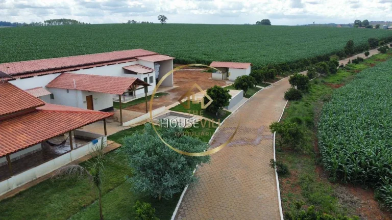 Imagem Fazenda, 3 Casas, 171 hectares, criação Gado Nelore e Lavoura, Sul de MG.