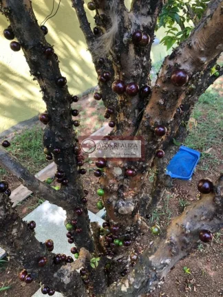 Imagem Sobrado de 220m² com 4 dormitórios e 2 suítes para locação em Jardim Cliper - São Paulo por R$ 4.000