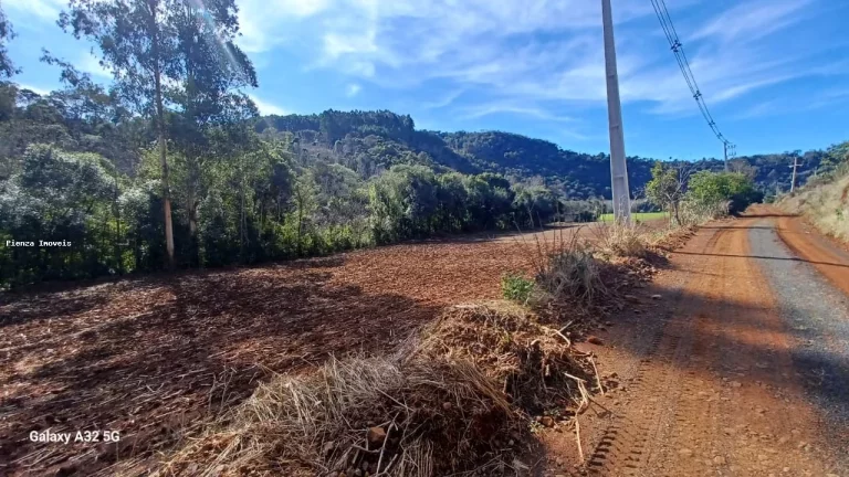 Imagem Área Agrícola para Venda em Concórdia, Interior