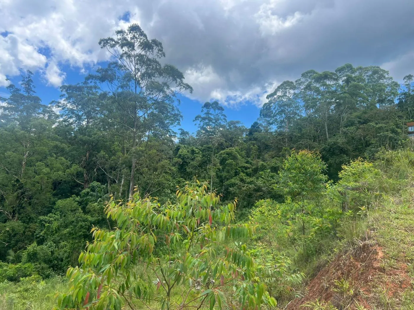 Imagem Terreno em Condomínio para Venda em Petrópolis / RJ no bairro Quarteirão Ingelheim