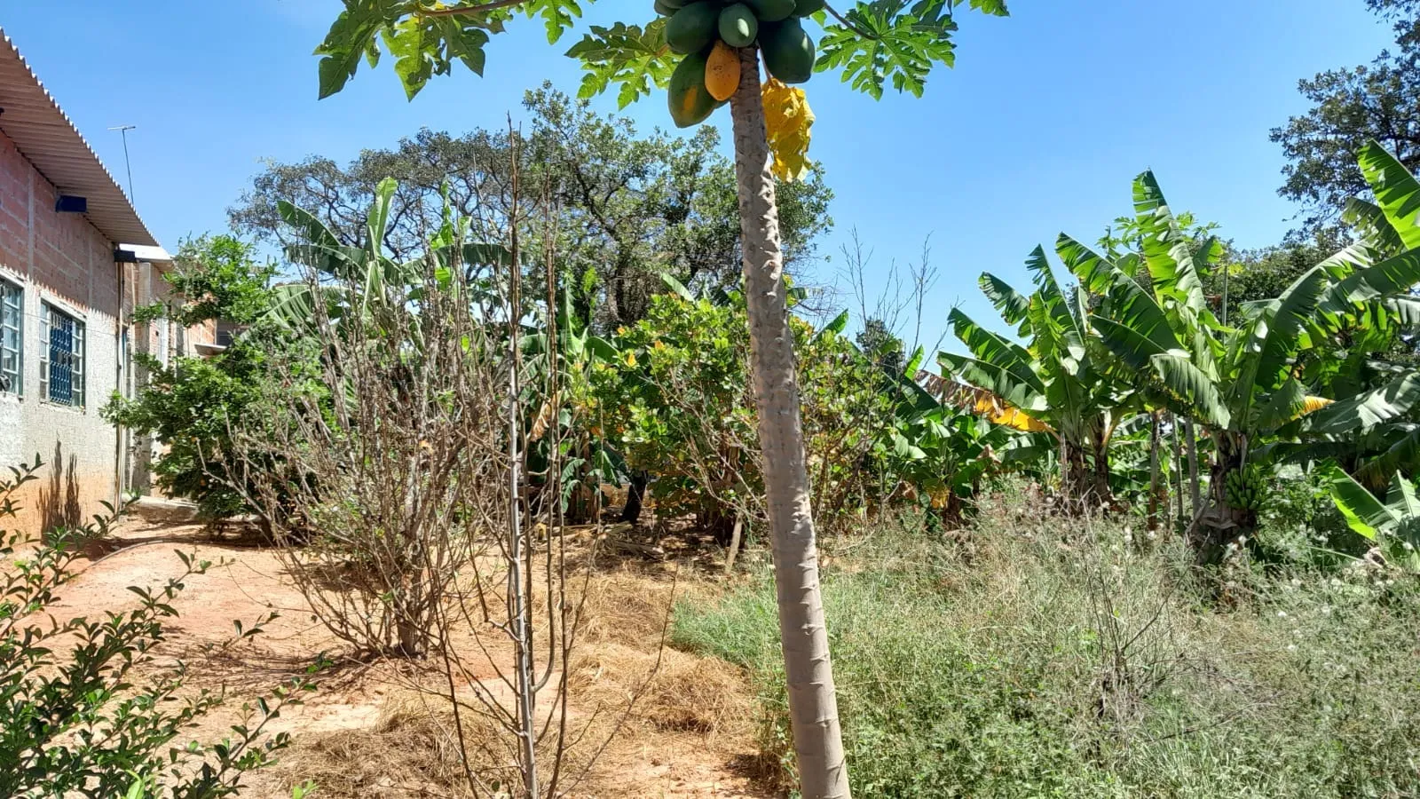 Imagem Lindo terreno de 950m² no Iporanga.