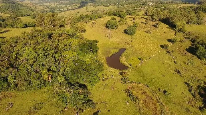 Imagem Chácara para Venda em Santo Antônio da Patrulha / RS no bairro Roça Grande