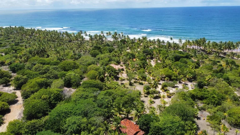 Imagem SÍTIO FRENTE MAR - MM
