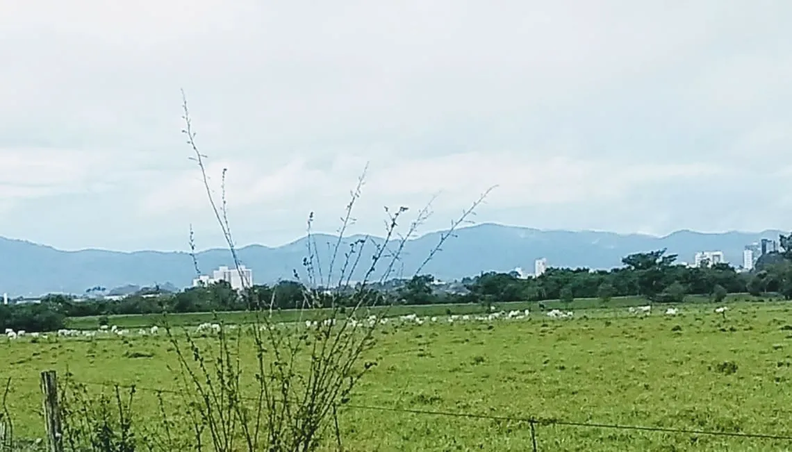 Imagem Chácara à venda 20000M², Cruz Pequena, Pindamonhangaba - SP