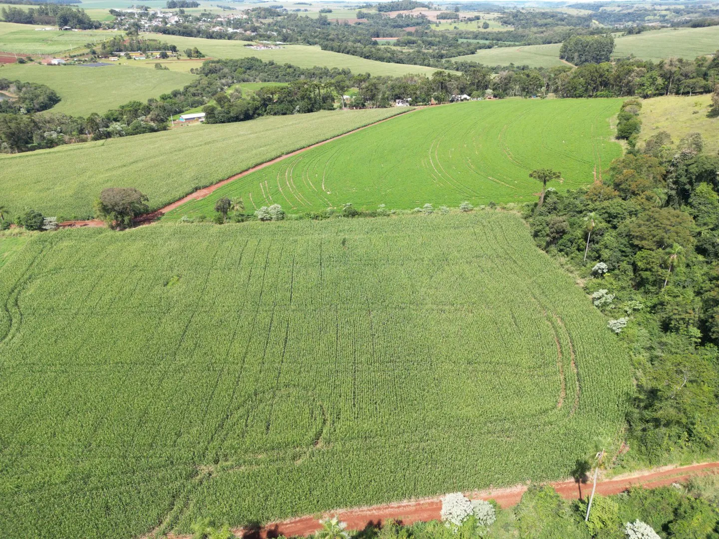 Imagem Chacara a venda em Rio do Salto Cascavel