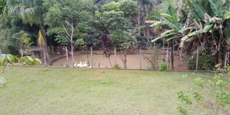 Imagem Chácara com 3 Quartos à Venda, 2.920 m² em Centro - Santa Isabel