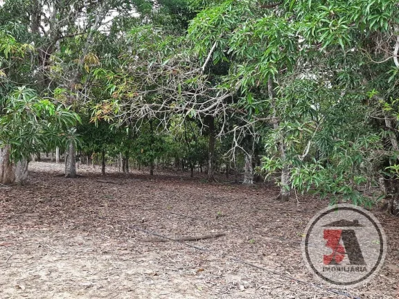 Imagem Sitio Estrada Belmont - 20.43 hectares