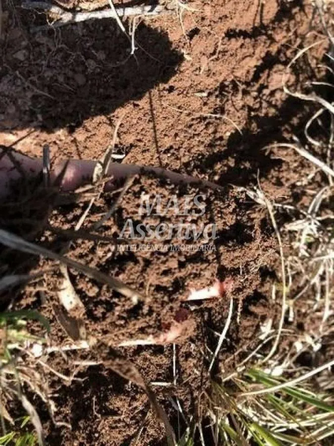 Imagem Sítio para Venda em Cambará Do Sul / RS no bairro Faxinalzinho