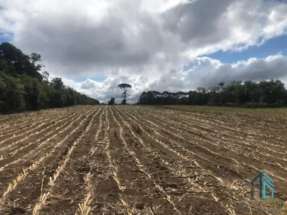 Imagem (PERMUTA) Terreno Industrial/Comercial podendo fazer 12 lotes para construção de 12 Barracões de mil metros cada em Curitiba PR