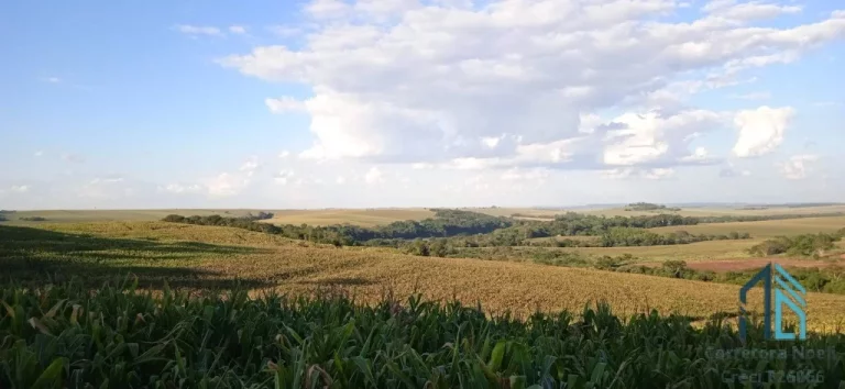 Imagem Sítio com 36 Alqueires, na Barranca do Rio Ivaí, localizado a 8 km da rodovia que liga engenheiro Beltrão a Maringá PR