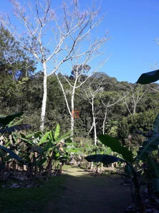 Imagem Sítio com 6 dormitórios à venda, 20000 m² por R$ 650.000,00 - Parque Serra Mar - Peruíbe/SP