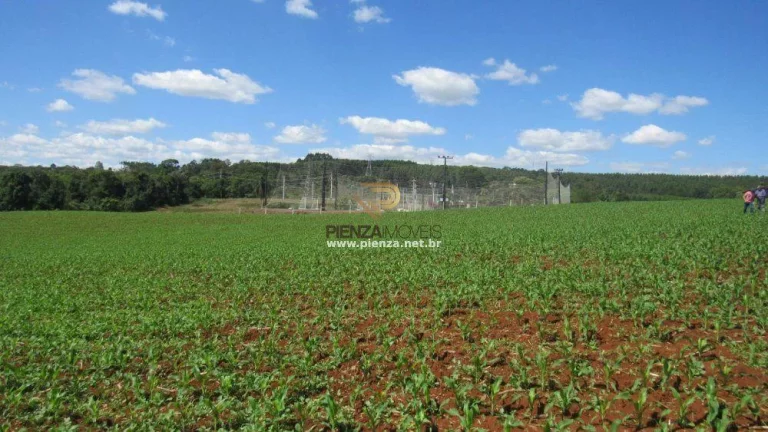 Imagem Área para Loteamento para Venda em Concórdia, São Cristóvão