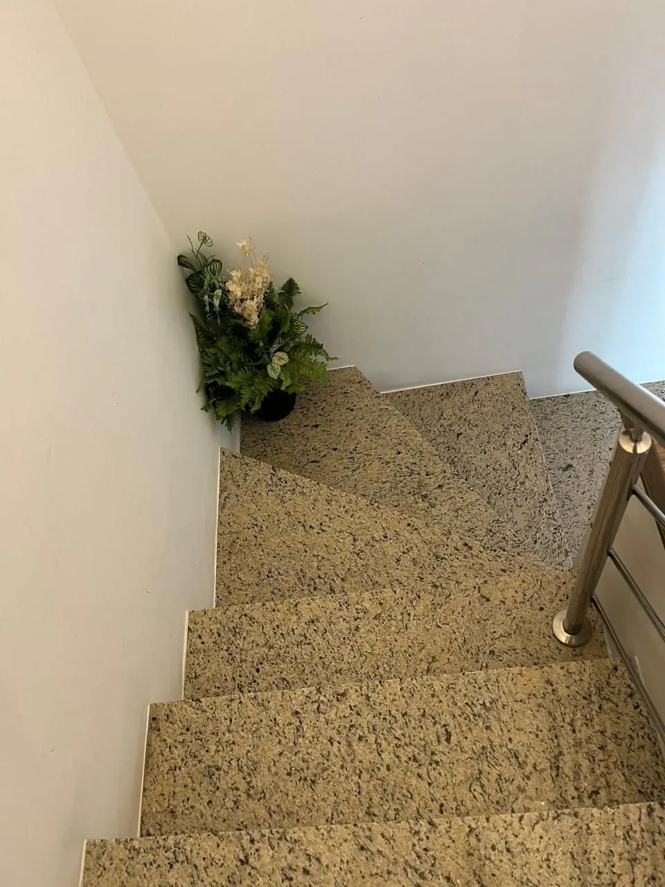 Imagem Casa em Hípica
