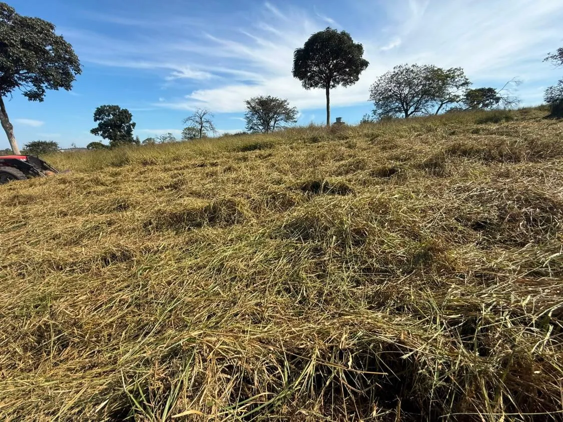 Imagem FAZENDA À VENDA EM CARMÓPOLIS DE MINAS /Área total: 315 hectares