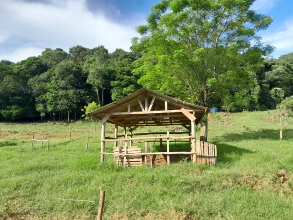 Imagem Terreno para Venda em Arabutã, Interior