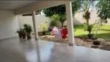 Imagem Casa com Quintal Gramado e Varanda Gourmet à Venda Amplo Terreno Sinop- MT
