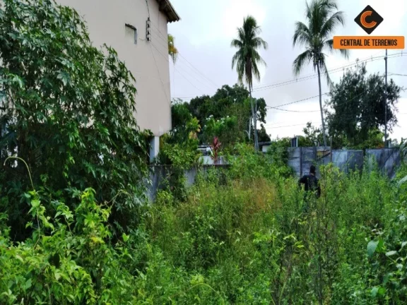 Imagem TERRENO PRÓXIMO AO BOSQUE DA PAZ