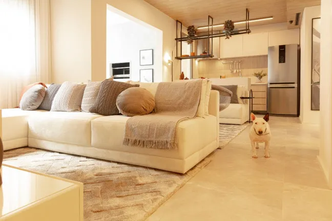 Foto do imóvel Apartamento com 3 Quartos à Venda, 78 m² em Vila Monte Alegre - São Paulo