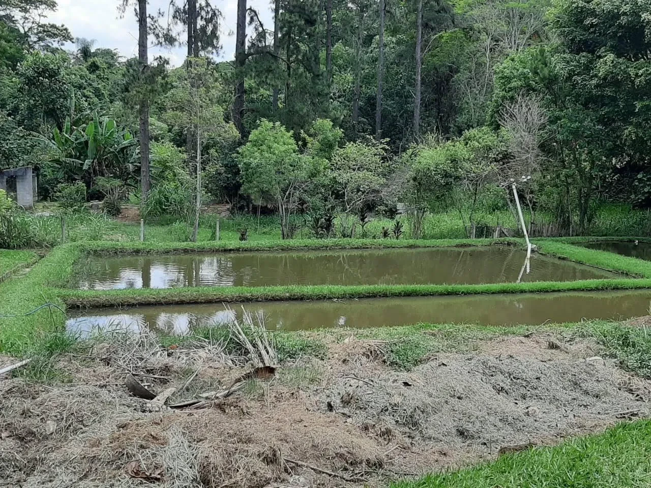 Imagem Chácara com 4 Quartos à Venda, 464 m² em Botujuru (Botujuru) - Campo Limpo Paulista