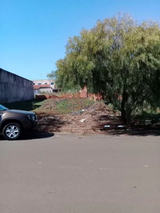 Imagem Terreno Padrão