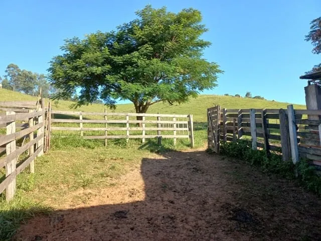 Imagem Chácara à venda 121000M², Rio Abaixo, São Luiz do Paraitinga - SP